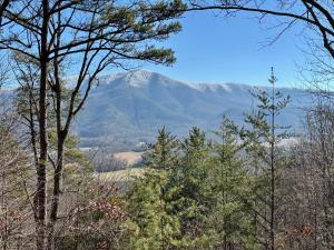 3BR with mtn view and hot tub in Wears Valley!