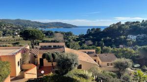 Gigaro Sylvabelle Sea Zen 2