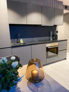 Modern One-Bedroom Apartment