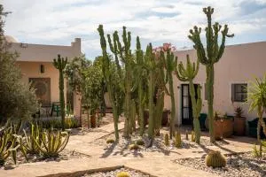 Les jardins de Mogador, La Villa Cactus - El Hassaïne