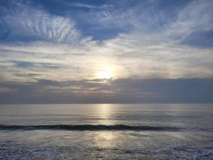 T2 Proche plage aux phoques avec parking