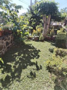 Casa en Cuernavaca Casa Luz