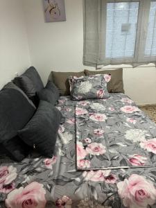 Beautiful and Remodeled Apartment 1A