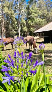 San Pedro de la Vigilancia - Turismo rural