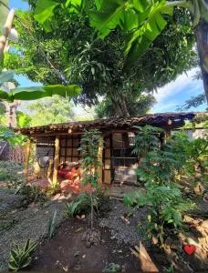 Cabaña el ojoche - Balgue