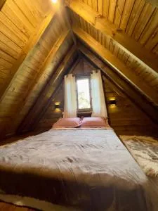 Fazenda Cerro do Puruna - 坎普拉古