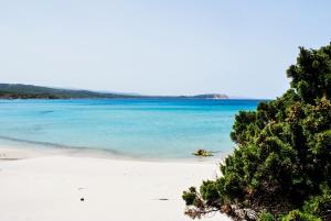 Residence Rena Majore img34