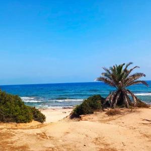 Sisters House - 100m from the Beach