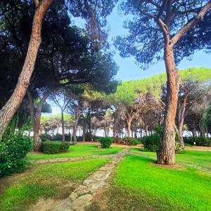 Sisters' House img16