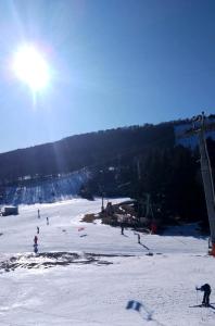 Appartements LA PETITE LUGE studio sur les pistes centre station Super-Besse : photos des chambres