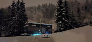 Tiny House im Grünen