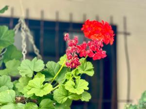 Hermosa habitación El Galapo - Zapatoca