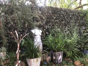 Bird Haven Central Castlemaine