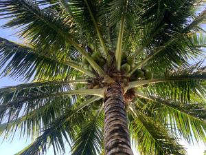 Valley Breeze Resort