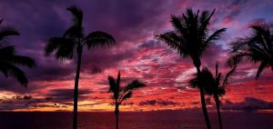 Donde Zenojal Puerto Naos