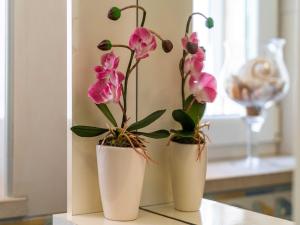 Apartments and Room Frane - Studio with Terrace