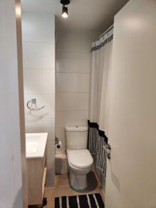 Céntrico Departamento, Ochagavia