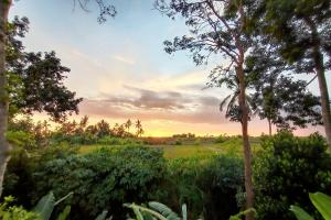 Ubud 3-bedrooms with sunset view