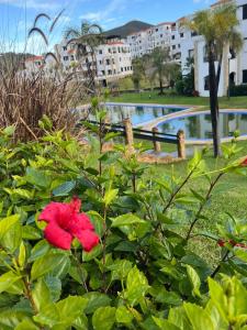 Lilacs garden apartment