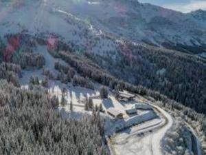 2 pièces aux Adrets, au pied des pistes, animaux admis - FR-1-771-36