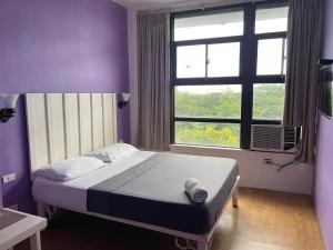 The Purple Tree Hostel