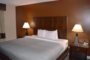 King Room room in Quality Inn O'Hare Airport