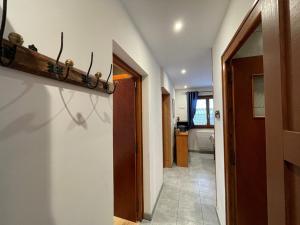 Appartement cosy 4 pers, centre Cernix, proche pistes, wifi, parking, animal admis - FR-1-733-164