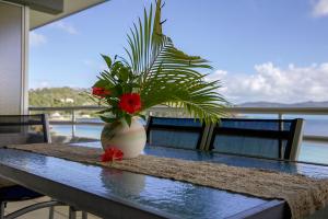 Frangipani 206 beachfront apartment - Ubytování bez kategorie ve městě Hamiltonův ostrov