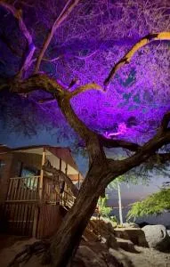 Cabaña alma del mar - Papare