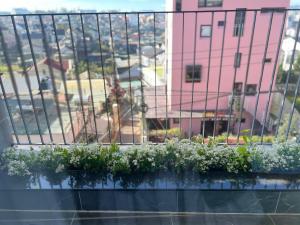 Cozy Garden Boutique hotel