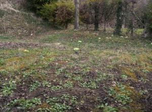 Plesivica Hillside Holiday Home with Hot -Tub