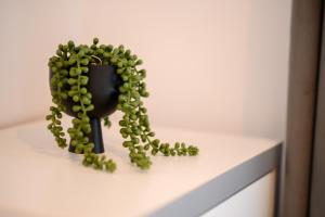 Chic 1BR with Balcony in Northern District