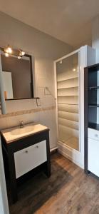 Appartements LA PETITE LUGE studio sur les pistes centre station Super-Besse : photos des chambres