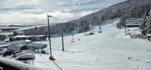 Appartements LA PETITE LUGE studio sur les pistes centre station Super-Besse : photos des chambres