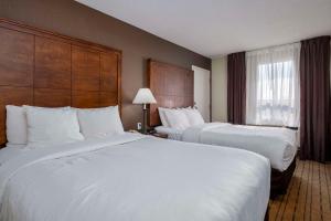 Comfort Inn - Gander