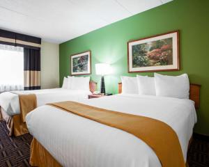 Queen Room with Two Queen Beds - Non-Smoking room in Quality Inn Bolingbrook I-55