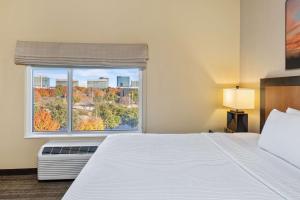 King Suite with Sofa Bed room in Cambria Hotel Plano - Frisco