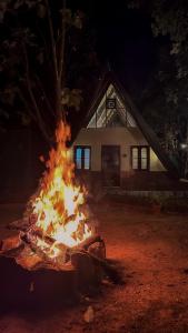 Bastar Greens Eco Stays