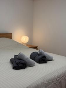 Appartements Logis en campagne avec piscine : photos des chambres