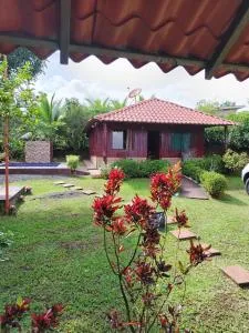 Hermosa Cabaña en Chachagua - Chachagua