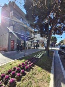 City Center Apartment 2