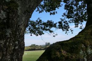 Campings les cabanes du tertre : photos des chambres
