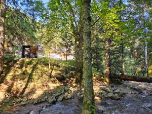 Authentic Pohorje house with riverside outdoor sauna