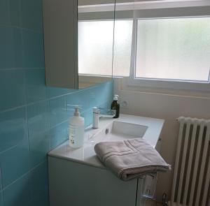 Grand appartement, 2 chambres et jardin