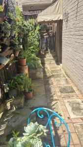 Artzys private Flatlet 1km to Olivedale Clinic