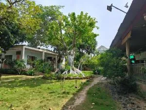 Biên Rừng Homestay - Бинь Чау