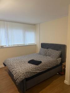 Homely Apartment entire one bedroom apartment