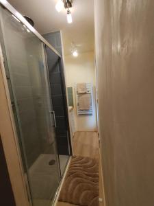 Studio avec mezzanine