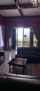 Nesya 2 - 苏加武眉