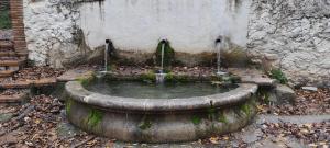 Mirador del Carpintero